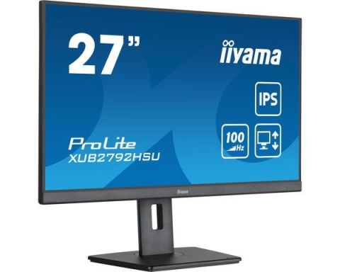 IIYAMA (IPS, 1H 1DP, 4x3.2, 100Hz)